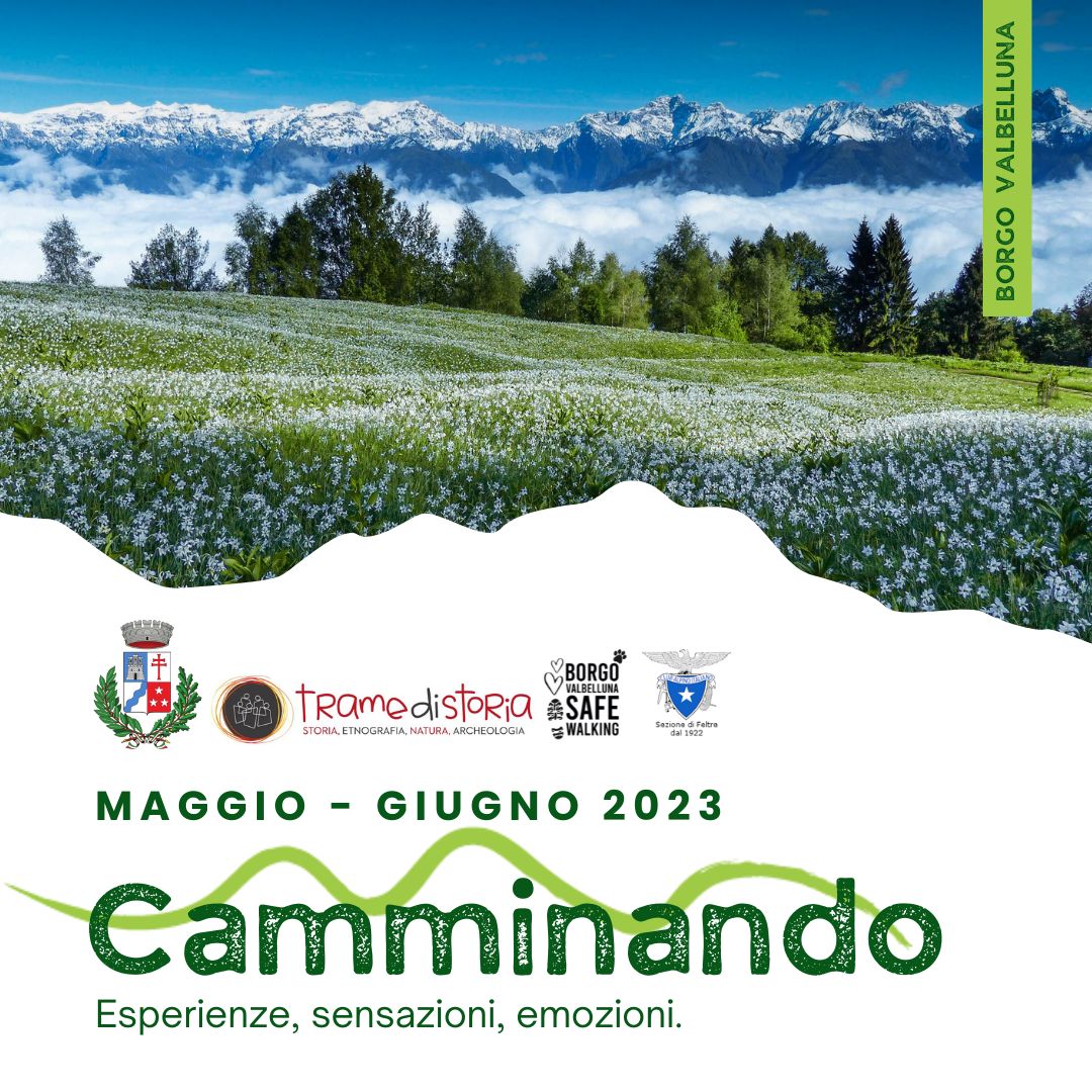 Camminando. Esperienze, sensazioni, emozioni…
