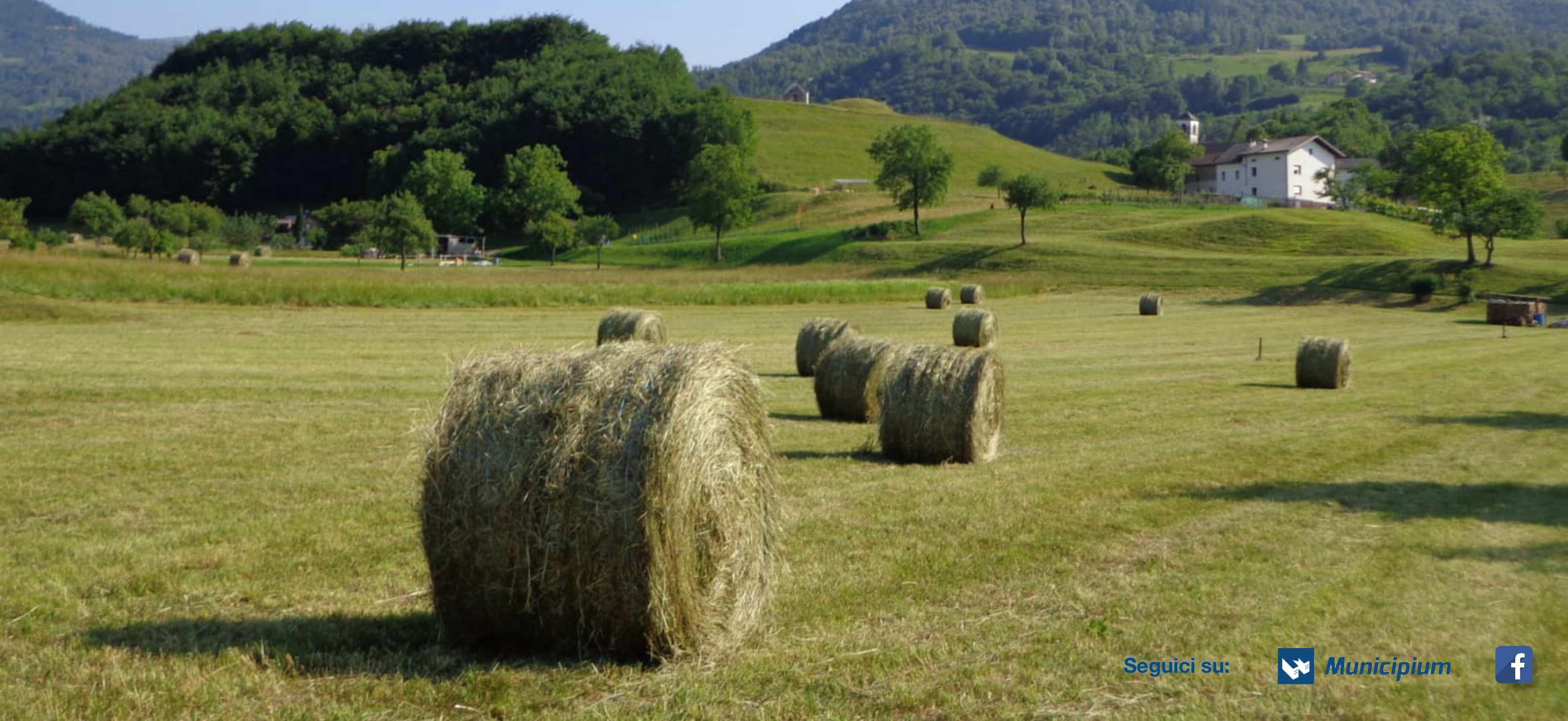 Contributi sfalcio prati - anno 2022