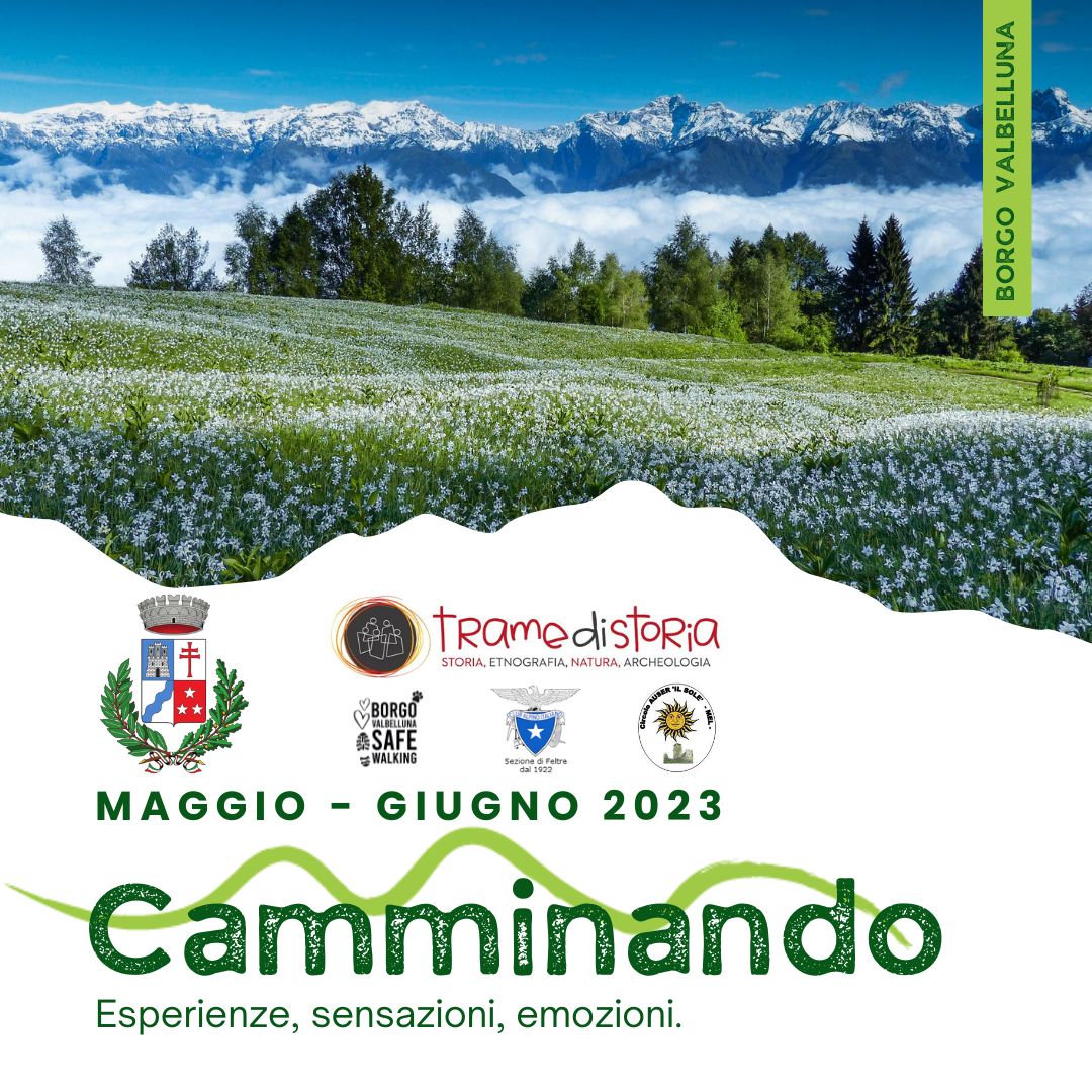 Camminando. Esperienze, sensazioni, emozioni…